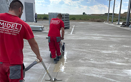 Reference picture gal-ae-02