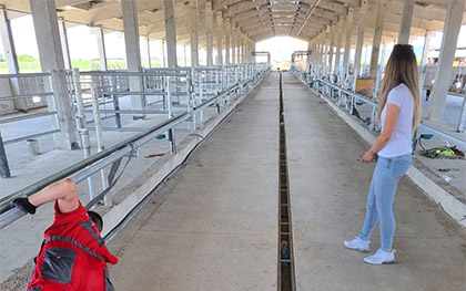 Reference picture gal-ae-03