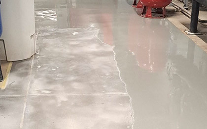 Reference picture gal-ah-08