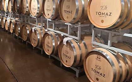 Reference picture gal-ai-04