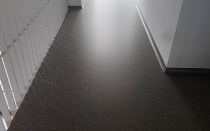 Reference picture gal-ai-08