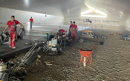 Reference picture gal-ai-12