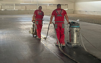 Reference picture gal-ai-13