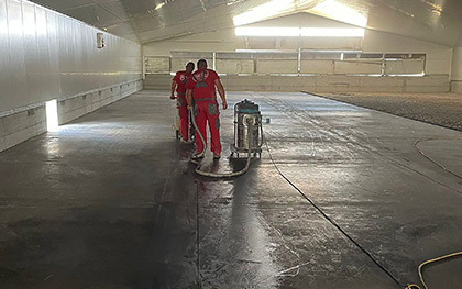 Reference picture gal-ai-14