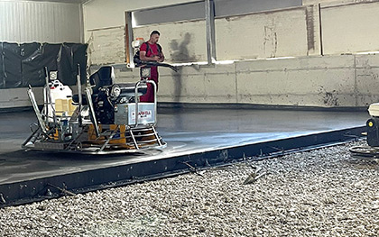 Reference picture gal-ai-17