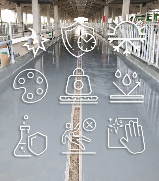 Fotografija izgleda hale sa poliuretanskim podom.